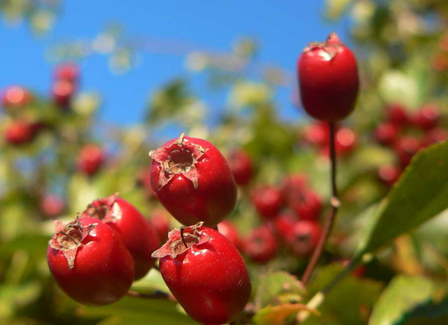 z-kremnice-do-kremnicky