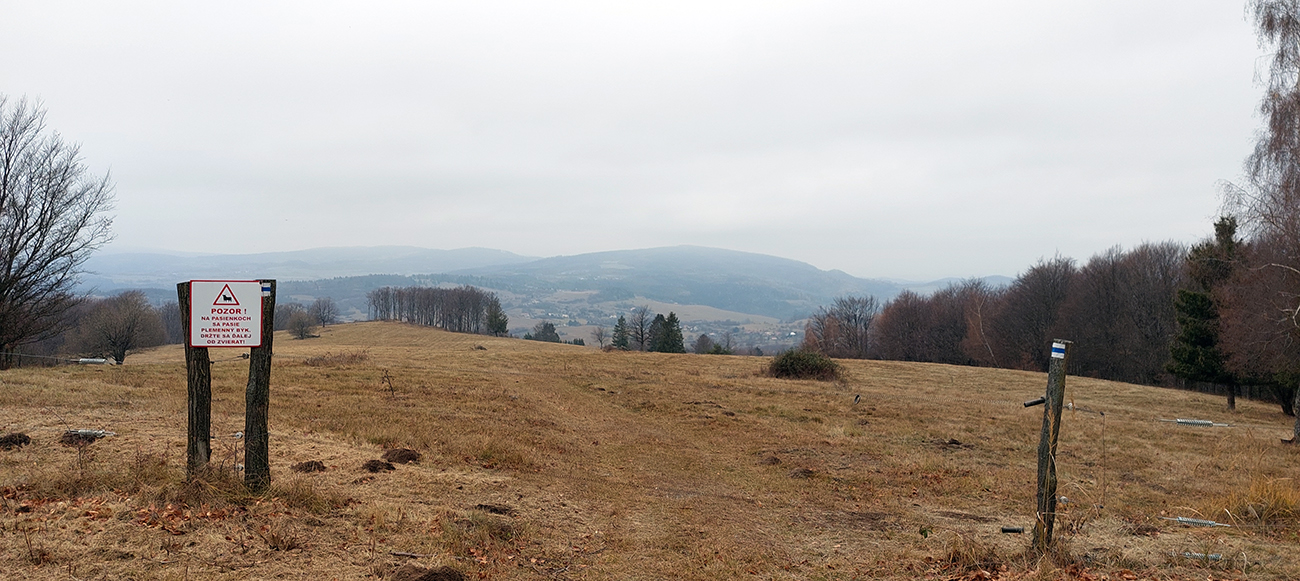 Značka ma už teraz posiela cez plot dnu – možno bude aj zábava! Značka_ma_už_teraz_posiela_cez_plot_dnu_–_možno_bude_aj_zábava!
