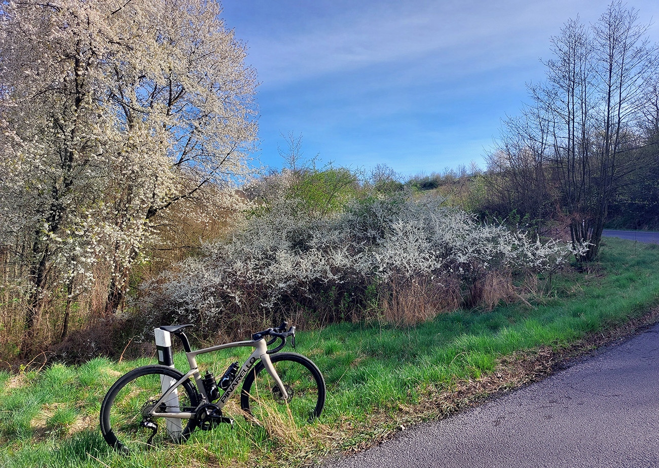 Stúpanie zo Slatinských Lazov v bielej a zelenej. Stúpanie_zo_Slatinských_Lazov_v_bielej_a_zelenej.