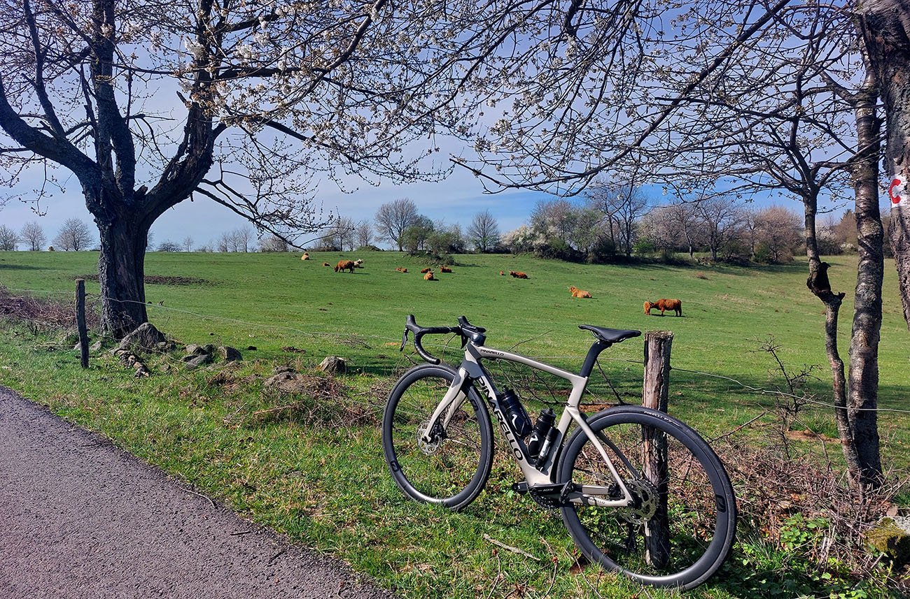 Naokolo sa pasú najmä „highland cattle“, ako hlási tabuľa. Naokolo_sa_pasú_najmä_„highland_cattle“,_ako_hlási_tabuľa.