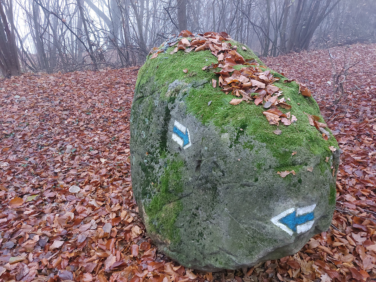 ostrozky-timrava-a-langose-nulty-rocnik-noveho-ultrabehu-