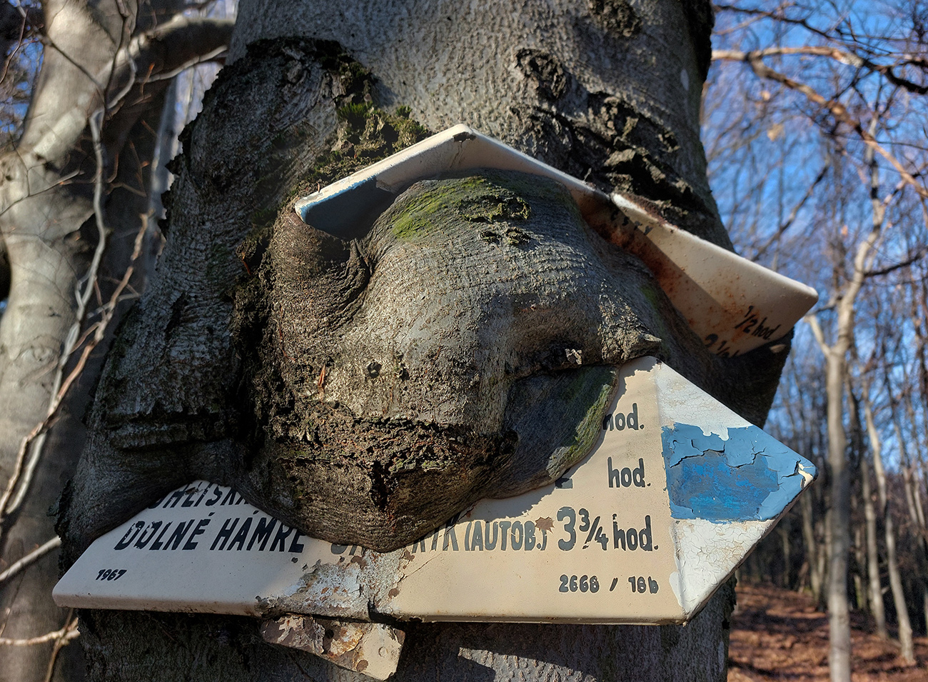 l�tiavnicke-vrchy-–-juhozapad