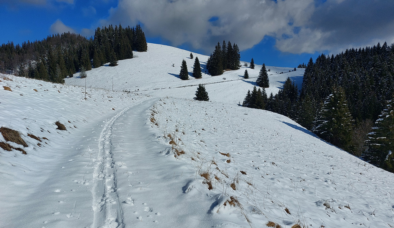 Dole_pod_Vtáčnik_po_vlastnej_stope...