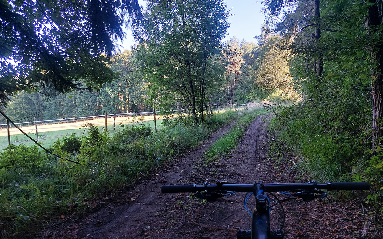 ...na_mierne_sa_vlniacu_lesnú_cestu.